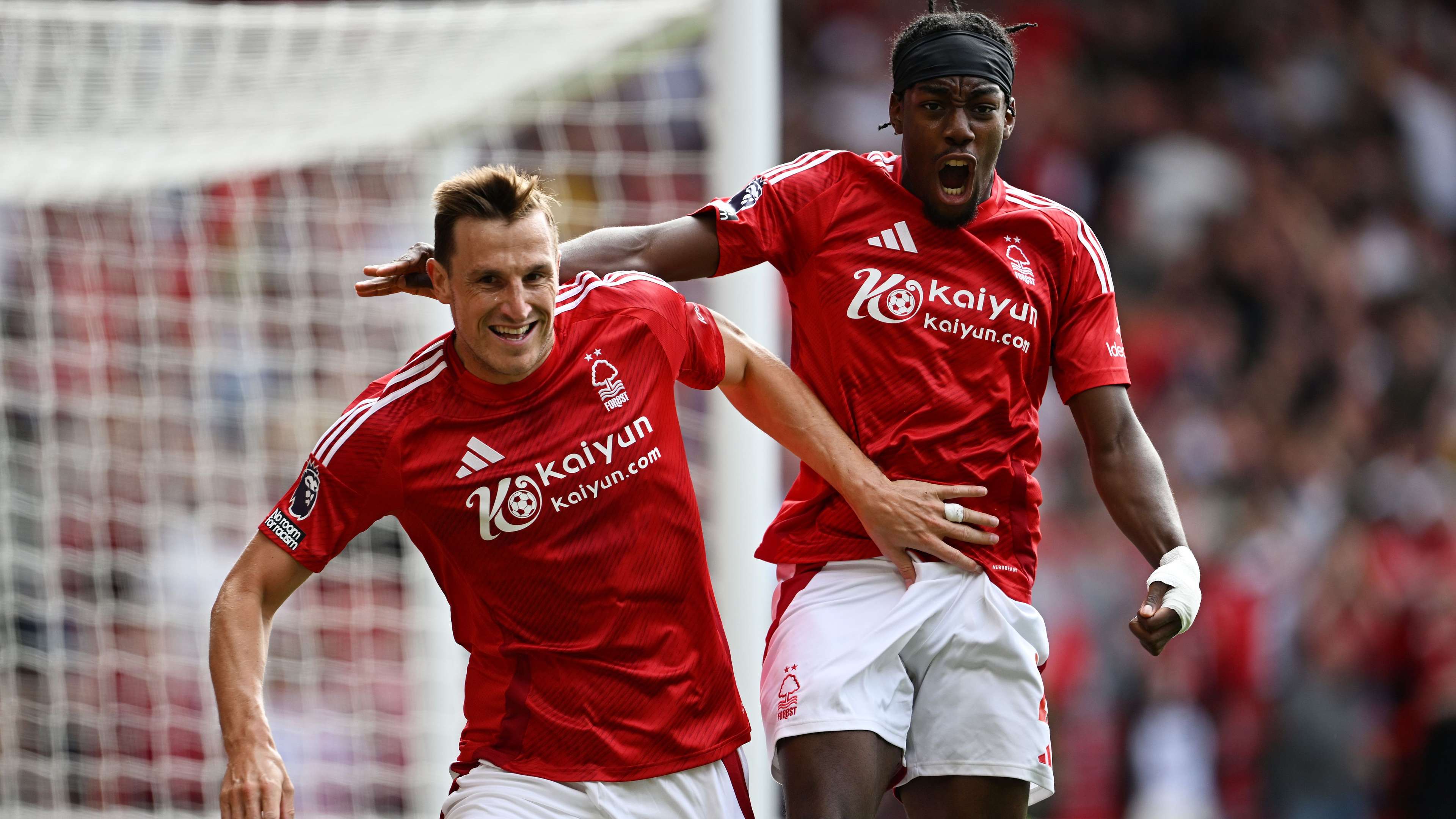 读者将更全 读者将更全