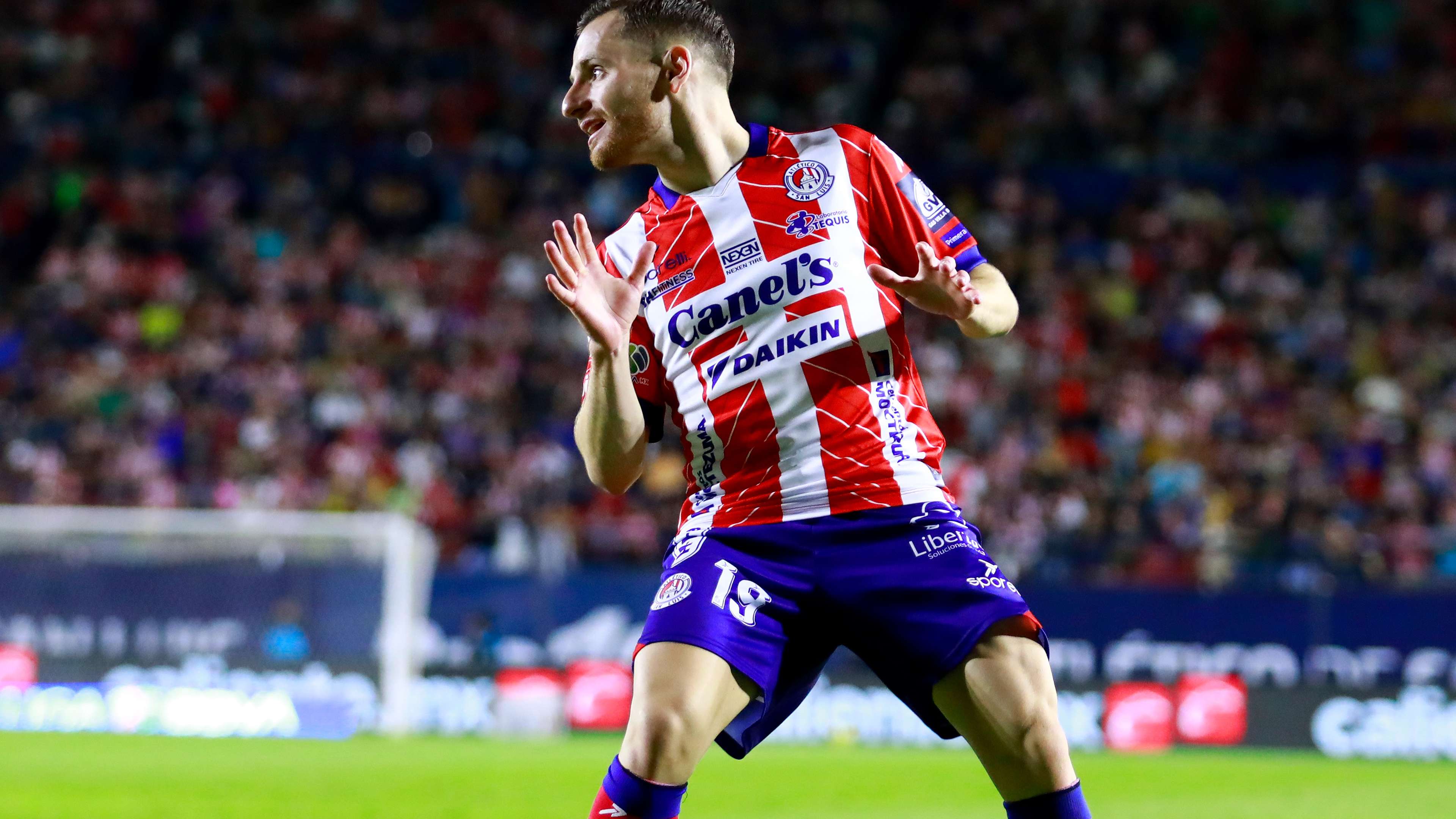 球锦标赛中 球锦标赛中